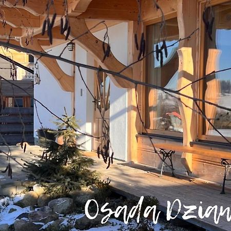 Osada Dzianisz N°54 Villa Bagian luar foto